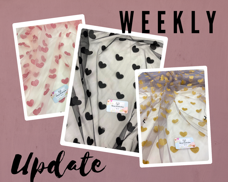 Weekly Update - Thursday, January 30th, 2025