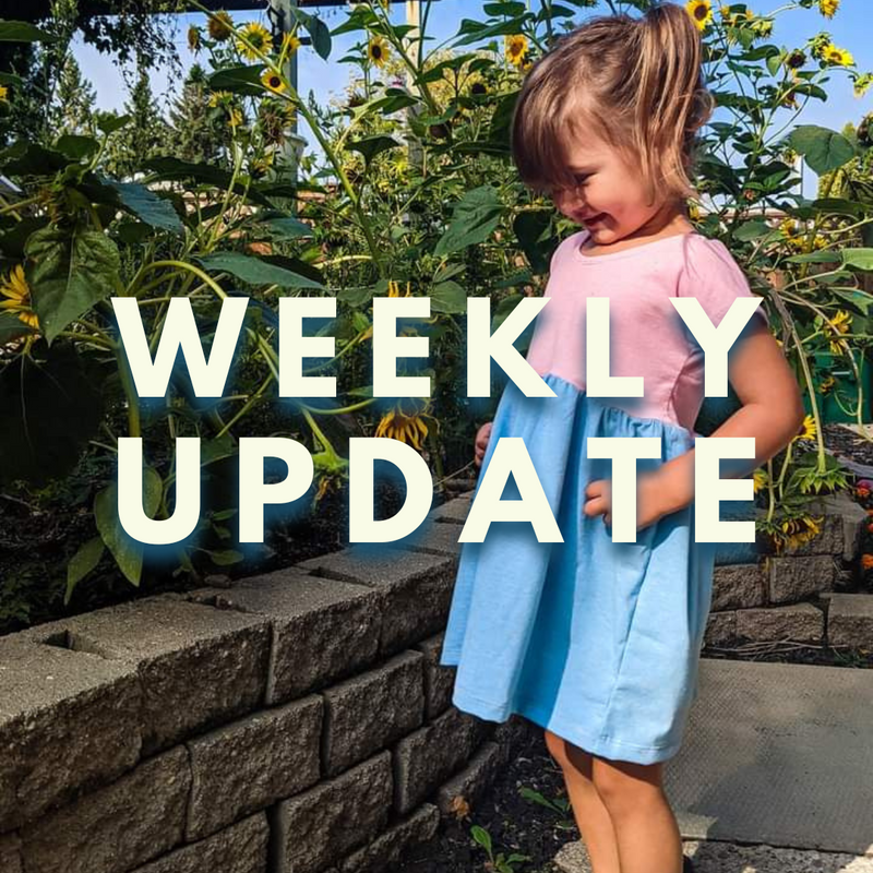 Weekly Update - Thursday, May 11th, 2023