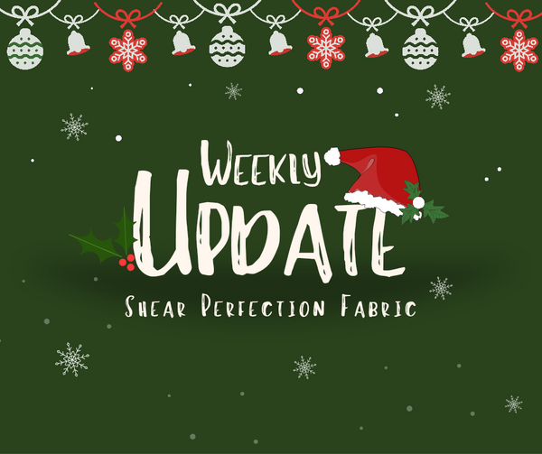 Weekly Update - Thursday, December 19th, 2024