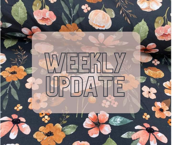 Weekly Update - Thursday, February 22nd, 2024