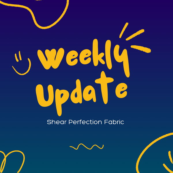 Weekly Update - Thursday, June 13th, 2024