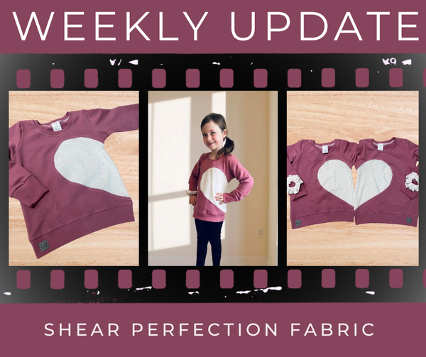 Weekly Update - Thursday, February 12th, 2025