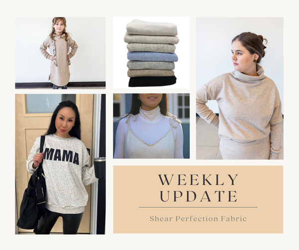 Weekly Update - Thursday, November 14th, 2024