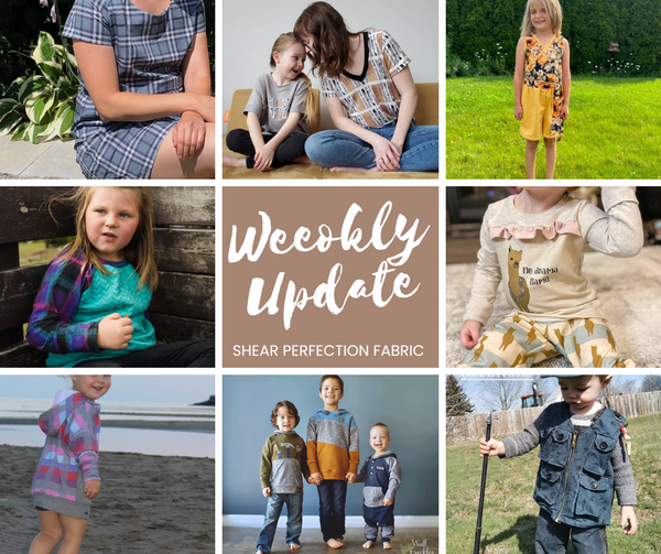 Weekly Update - Thursday, February 6th, 2025