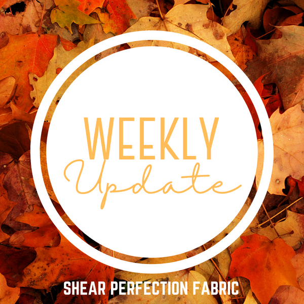 Weekly Update - Thursday, October 3rd, 2024