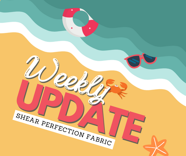 Weekly Update - Thursday, June 19th, 2025