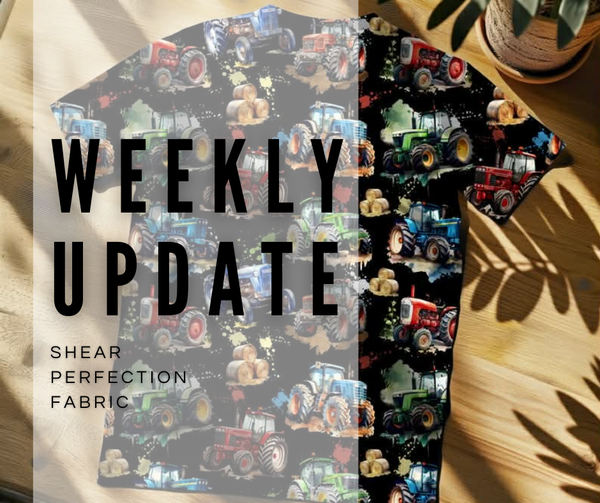 Weekly Update - Thursday, December 11th, 2025